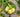 Jugo Verde Detox Kuvings AUTO10