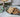 Crackers Raw con deshidratador