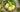 Jugo Verde Detox Kuvings AUTO10