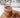 Leche caliente de choco naranja con MioMat