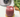 Néctar de frutilla y menta en MioMat