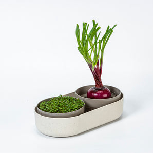 Germinador de semillas + Rebrote de semillas – Microgreens + ReGrow – Marfil